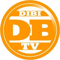 Dibi TV (2013-2014)
