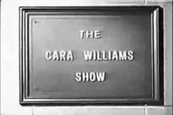 The Cara Williams Show