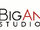 Big Ant Studios