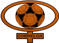 Audax Italiano - Cobreloa