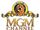MGM Channel (India)