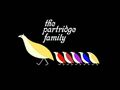 1970: The Partridge Family