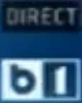 Direct on-screen bug (2013–2016)