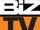 Biz Television