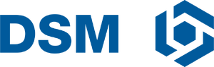 DSM old