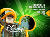 Brandy And Mr. Whiskers (Italy)