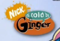 Merchandise logo with the Nickelodeon splat logo (used in DVD from 2004 to 2006)