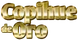 2013–2014