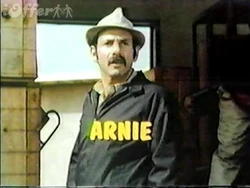 Arnie-dvd-1970-tv-series-hershel-bernardi-44-episodes-d116