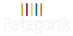 Patagonik Film Group Logo.png