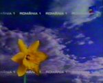 Station ID (Spring 2003)