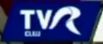 TVR Cluj on-screen bug