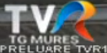 TVR 1 retransmission on-screen bug (2020–present)