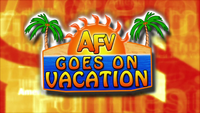 AFV Goes On Vacation (2006) (Widescreen)