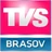 2015–2016
