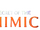Five Nights at Freddy's: Secret of the Mimic