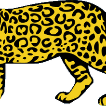 Union Argentina De Rugby Logopedia Fandom