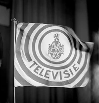 AVRO televisie