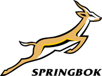 Springboks 2009
