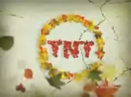 Network ID "Fall" (2007) by Medialuna.tv