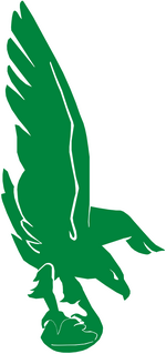 File:Philadelphia Eagles wordmark.svg - Wikipedia