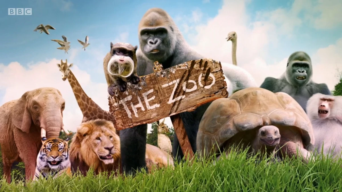 The Zoo Logopedia Fandom