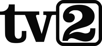Yle Tv2 Logopedia Fandom
