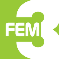 FEM3 2010