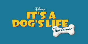 Its-a-Dogs-Life-FP