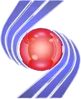 TV Asa Branca (1993-2001)