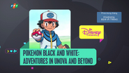 Pokemon Black and White: Adventures in Unova and Beyond (Asia)