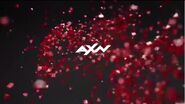 AXN Germany