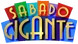 2005-2008