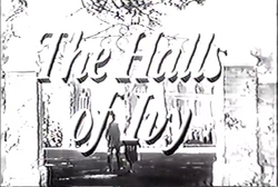 The Halls of Ivy