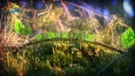 Ad break bumper (202?–present)