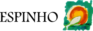 Espinho 1998