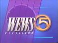 Convert this WEWS 1993 Logo