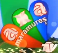 AXA TV Maramures 2006