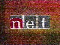 Net08202005 logo
