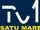 TV1 Satu Mare