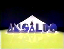 TV Commercial logo (1994-2008)