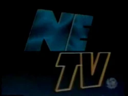 NETV (1996)