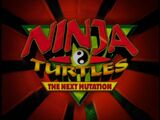 Ninja Turtles: The Next Mutation