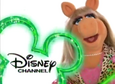 Miss Piggy (2005-2006; 2011)