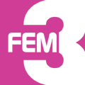 FEM3