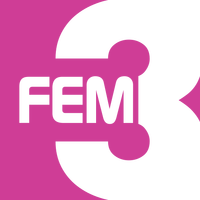 FEM 2016