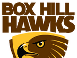Box Hill Football Club