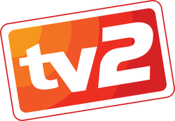 RTM TV2 logo 2004