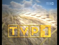 Tvp1 Other Logopedia Fandom