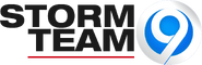 Storm Team 9 logo